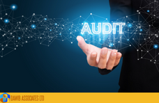 Internal Auditing:Best Practice And Latest Thinking