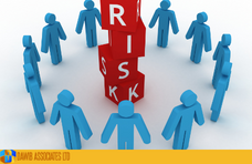 Professional Approach To Auditing The Enterprise Risk Management  Process