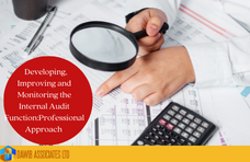 Developing, Improving And Monitoring The Internal Audit Function:Professional Approach