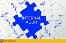 Developing,Improving And Monitoring The Internal Audit Function