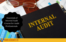 Essentials Of Internal Audit Course For Audit Professionals