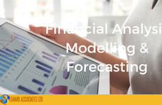 Financial Analysis Modelling & Forecasting