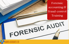Forensic Accounting & Fraud Control