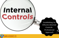 Establishing An  Effective Internal Controls-Professional Approach
