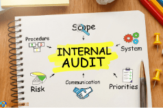 Risk Based Internal Auditing Training